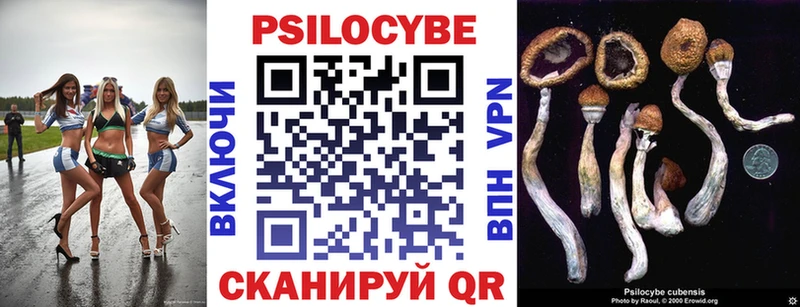 Галлюциногенные грибы прущие грибы  Купить  Шадринск 